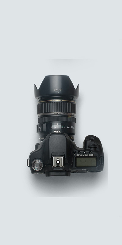 软件门户快速的电话测压在线